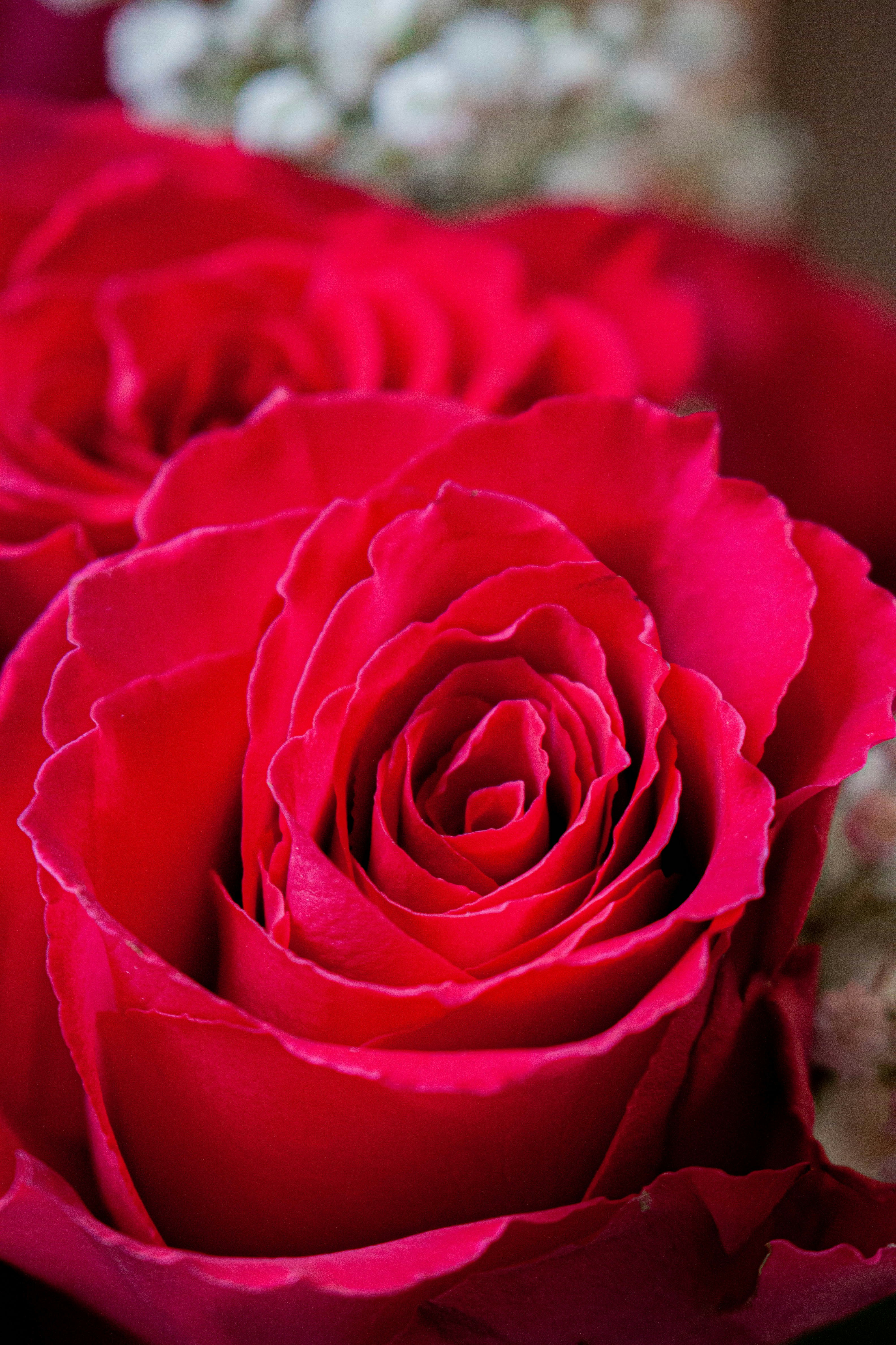 Photo by kamillaisalieva