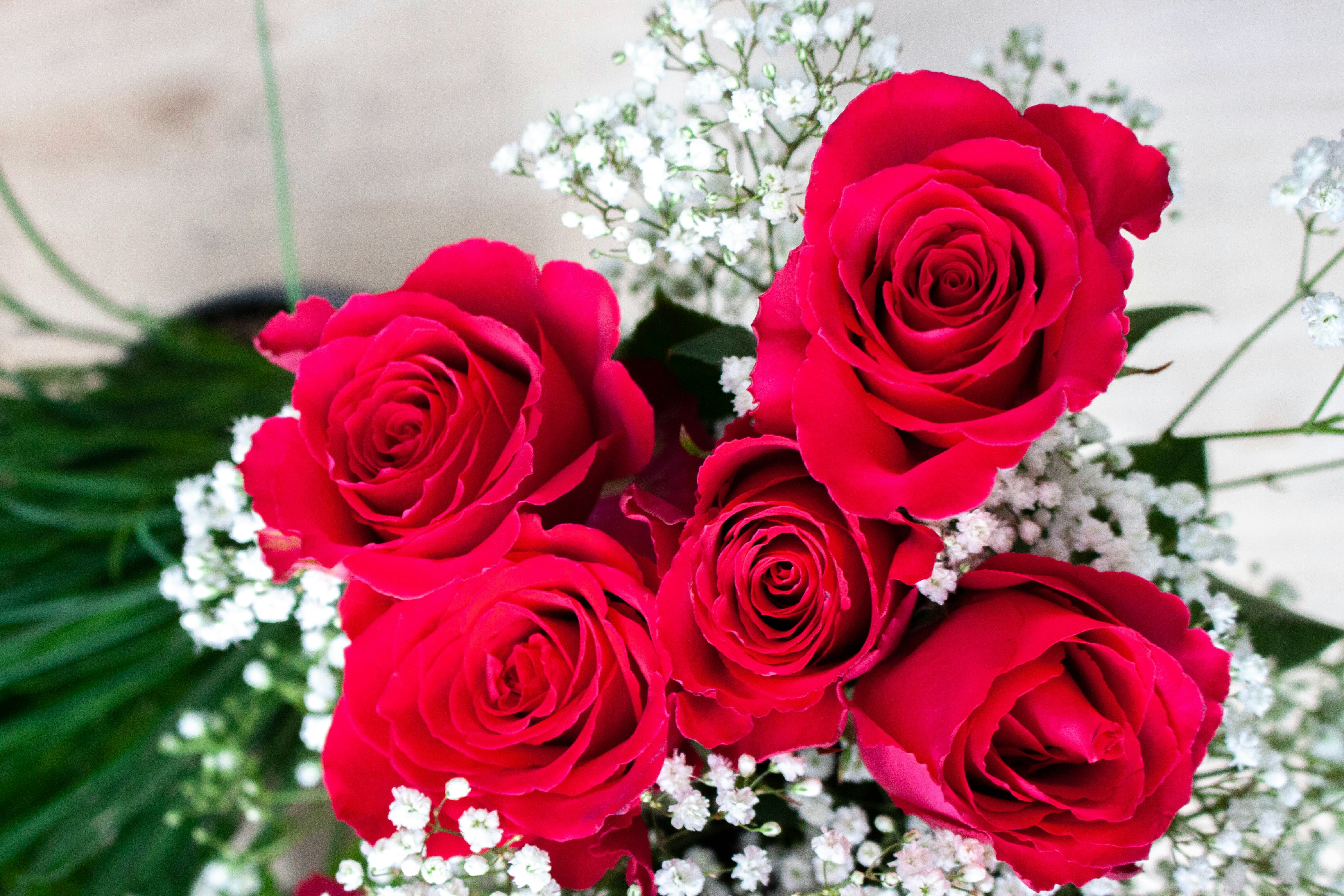 Photo by kamillaisalieva