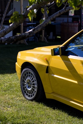 A close-up of the side of a bright yellow sports car parked on a grassy lawn. The focus is on the front wheel and body of the car, with sunlight reflecting off the polished surface. A tree branch with green leaves partially obscures the top of the image, casting shadows on the car.