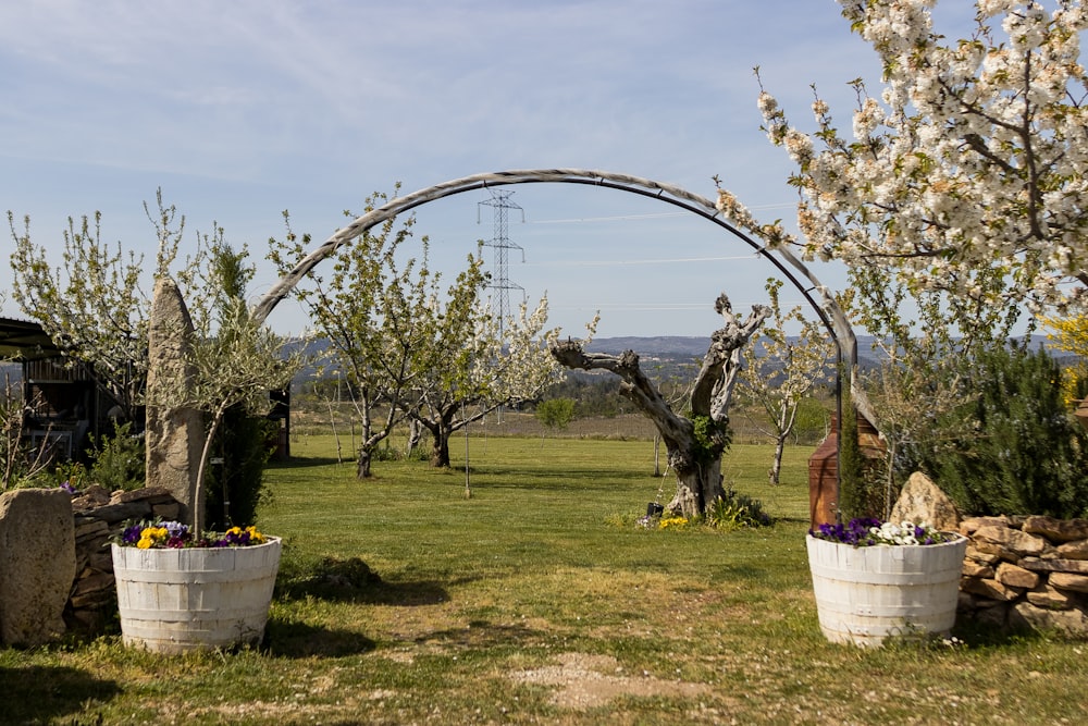 a garden area with a large arch and several buckets of flowers