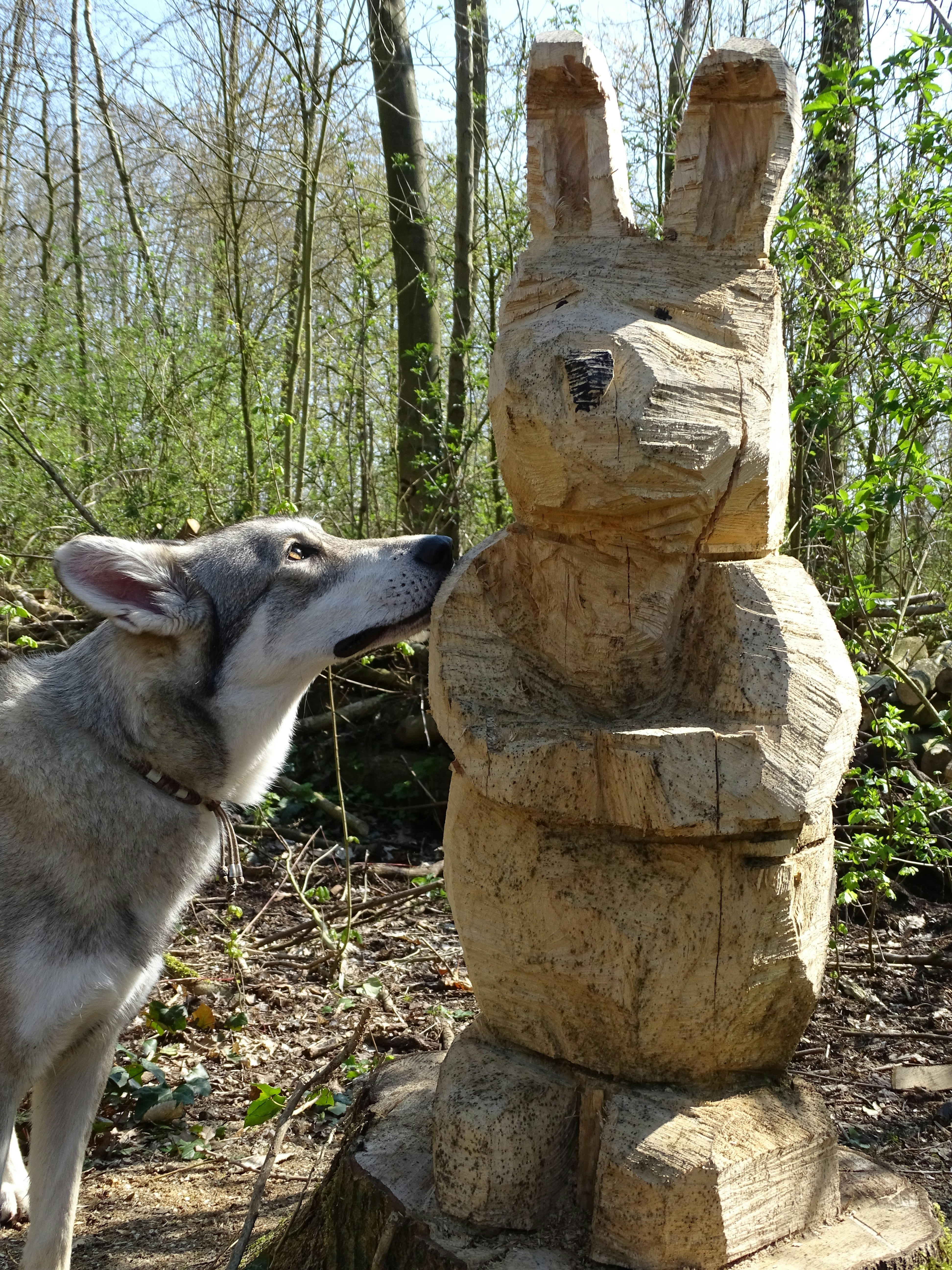 Ein Hund, der an einer Statue im Wald schnüffelt