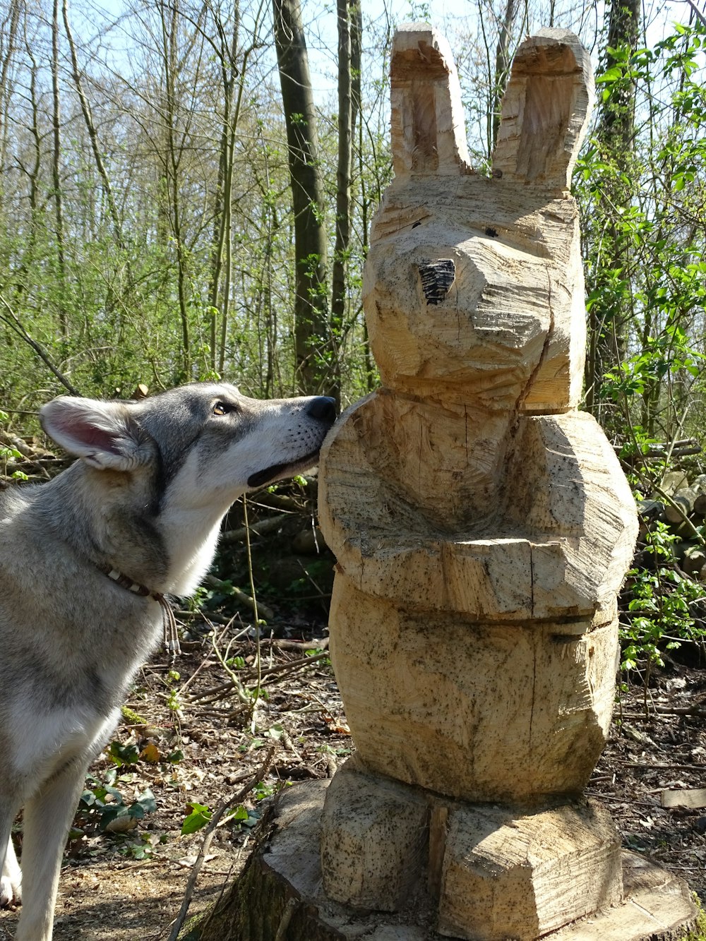 a dog sniffing a statue in the woods