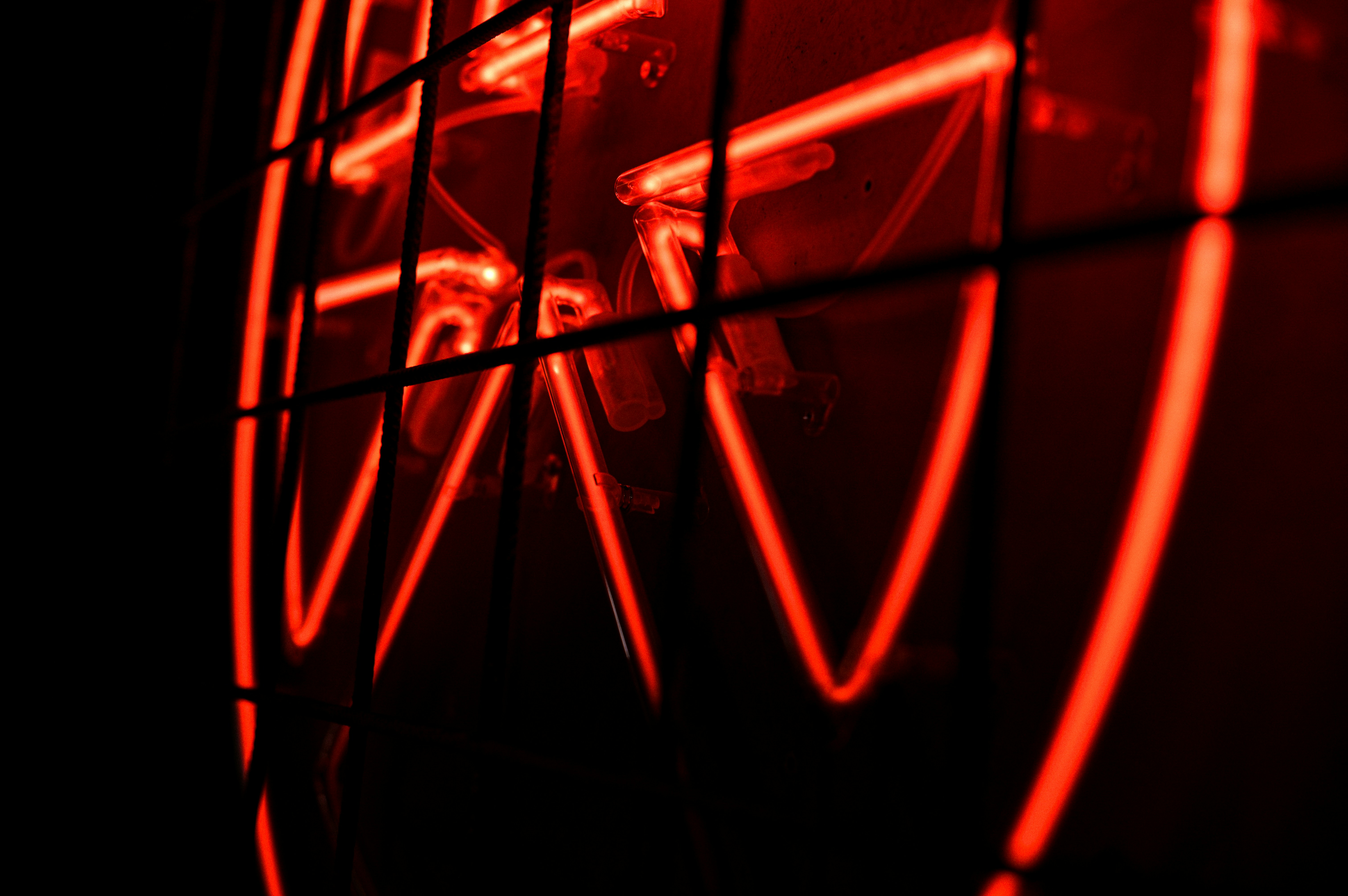 Photo by proskurovskiy