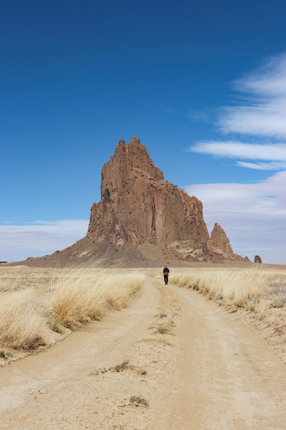 a person riding a horse down a dirt road