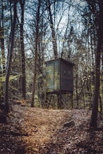 A wooden hunting stand is situated in the middle of a dense forest. Trees with bare branches surround the structure, creating a canopy overhead. The ground is covered in fallen leaves, and a narrow path leads up to the stand. The mood is calm and slightly mysterious.