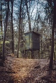 A wooden hunting stand is situated in the middle of a dense forest. Trees with bare branches surround the structure, creating a canopy overhead. The ground is covered in fallen leaves, and a narrow path leads up to the stand. The mood is calm and slightly mysterious.