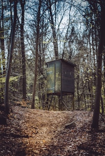 A wooden hunting stand is situated in the middle of a dense forest. Trees with bare branches surround the structure, creating a canopy overhead. The ground is covered in fallen leaves, and a narrow path leads up to the stand. The mood is calm and slightly mysterious.
