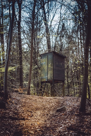 A wooden hunting stand is situated in the middle of a dense forest. Trees with bare branches surround the structure, creating a canopy overhead. The ground is covered in fallen leaves, and a narrow path leads up to the stand. The mood is calm and slightly mysterious.