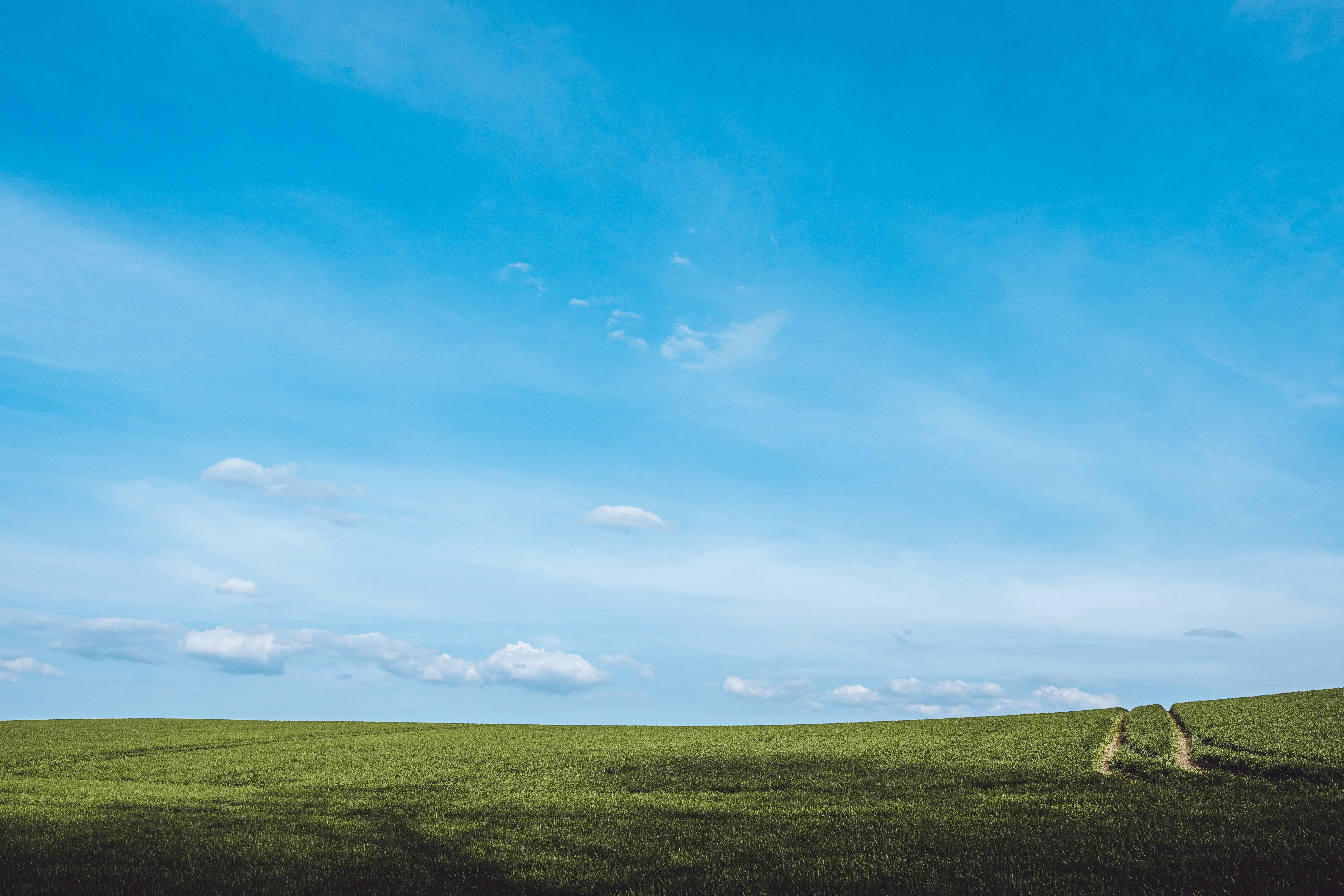 Photo by michaelheld