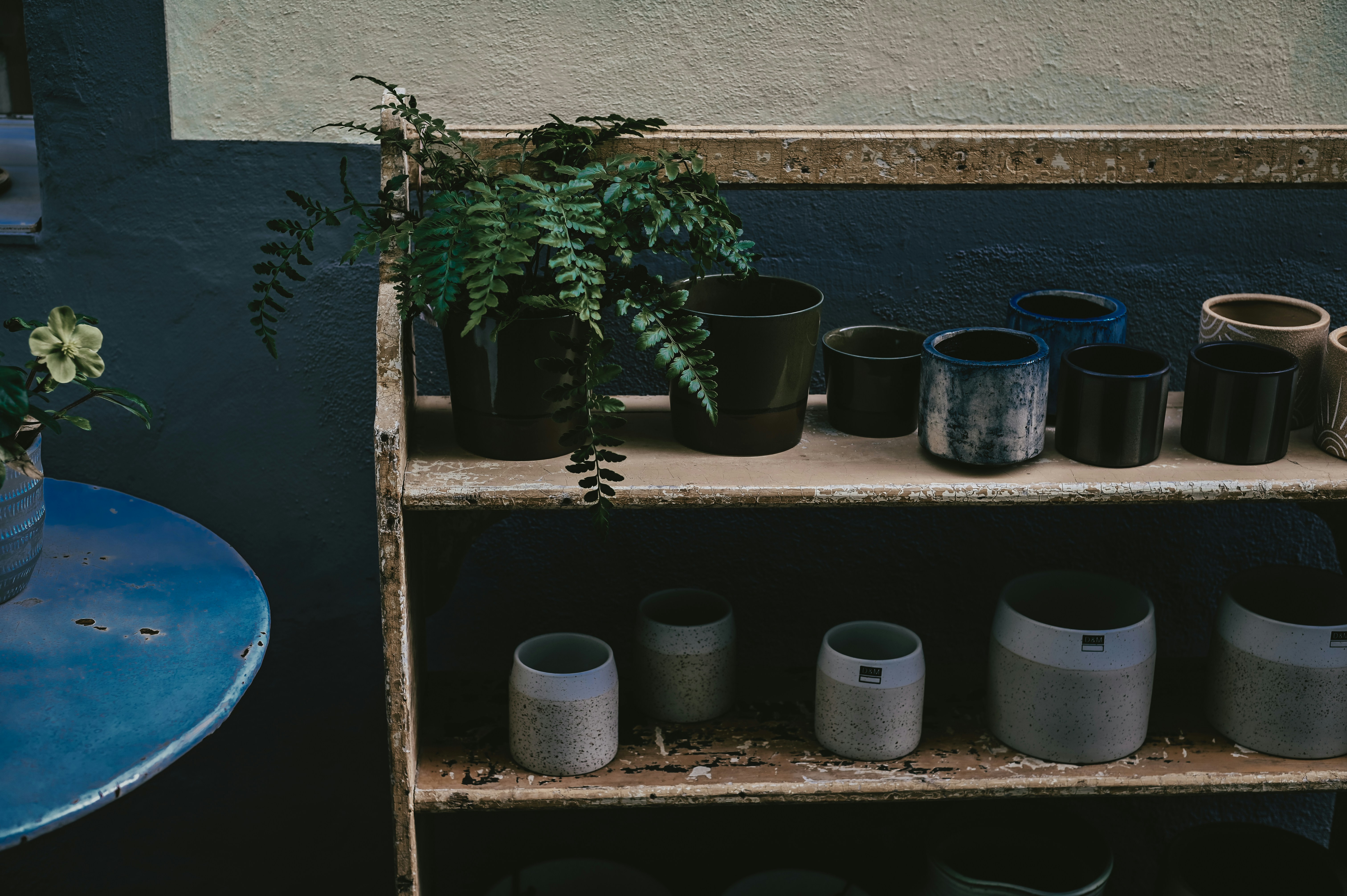 a shelf filled with potted plants next to a wall