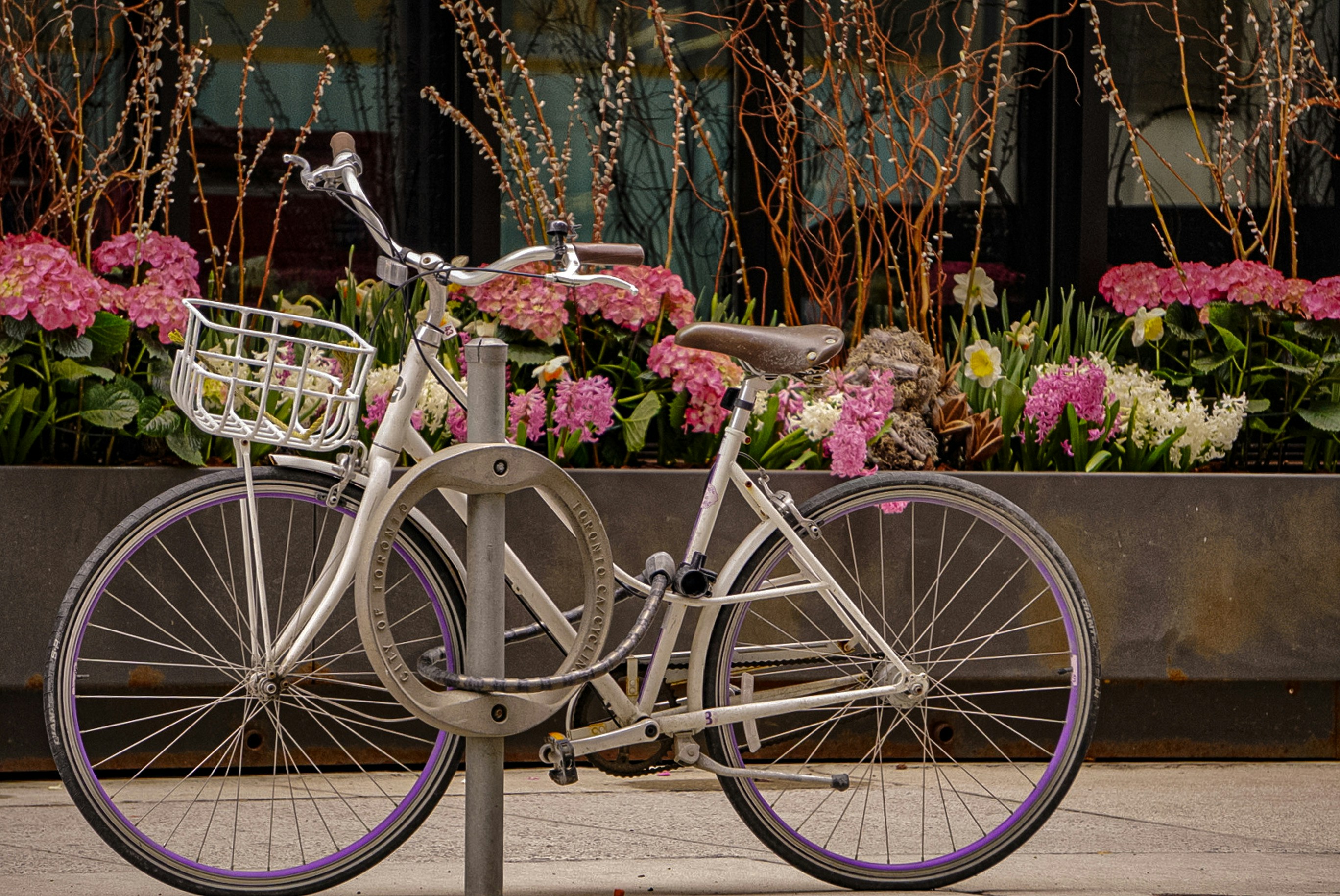 Photo by meri_vasilevski