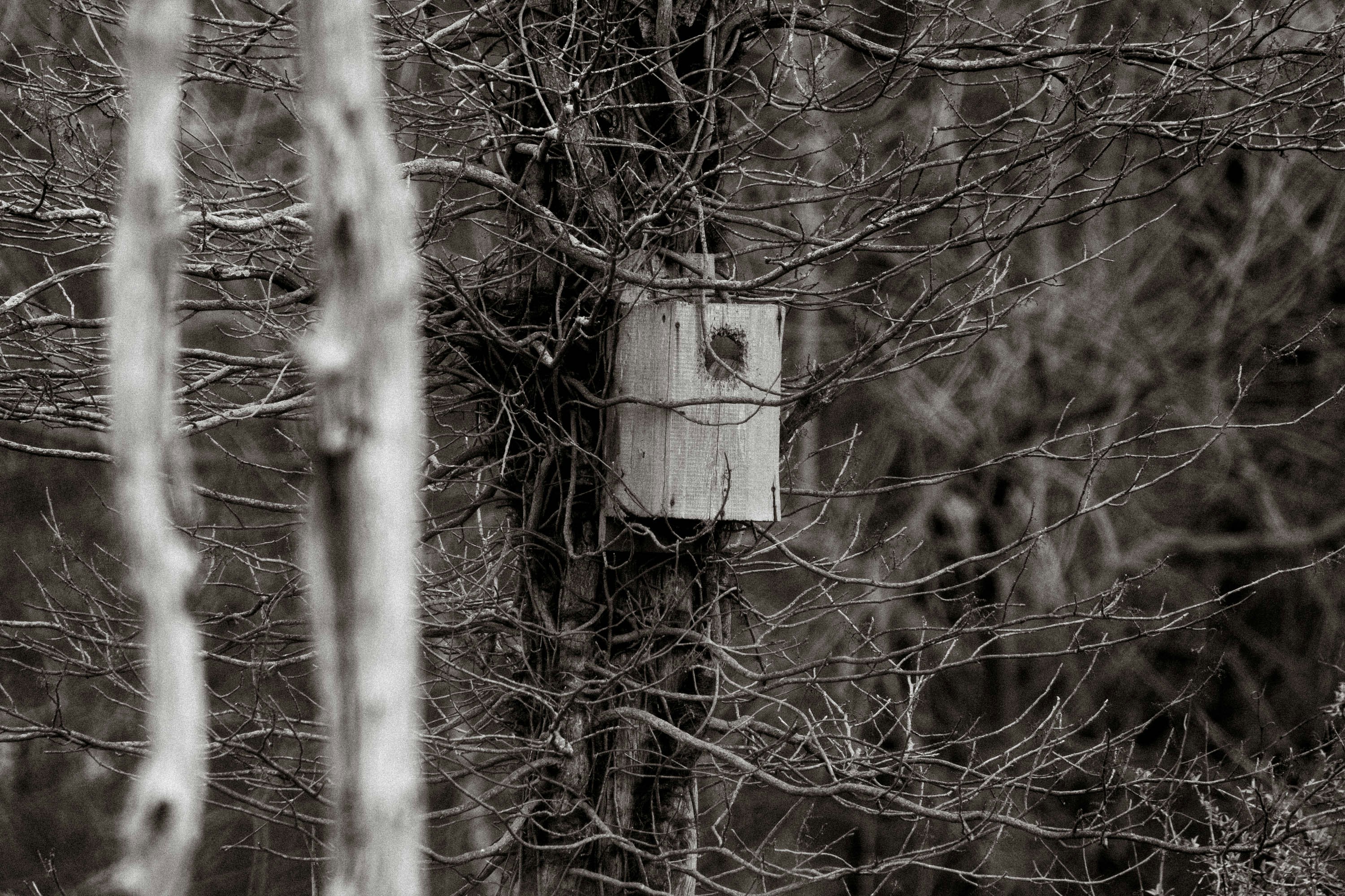 Photo by ucwhphotography