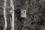 A candid photo of a wooden birdhouse under construction on a workshop table.