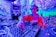 A DJ wearing headphones operates a sound mixer in a vibrant, graffiti-decorated environment. The scene is illuminated with neon lights, creating a vivid blue and pink hue. The graffiti on the walls features artistic and musical imagery.
