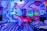 A DJ is performing, skillfully mixing tracks on a large set of DJ equipment. The background features vibrant, colorful street art, including abstract designs and a stylized character. The scene is illuminated by intense blue, purple, and pink lighting.