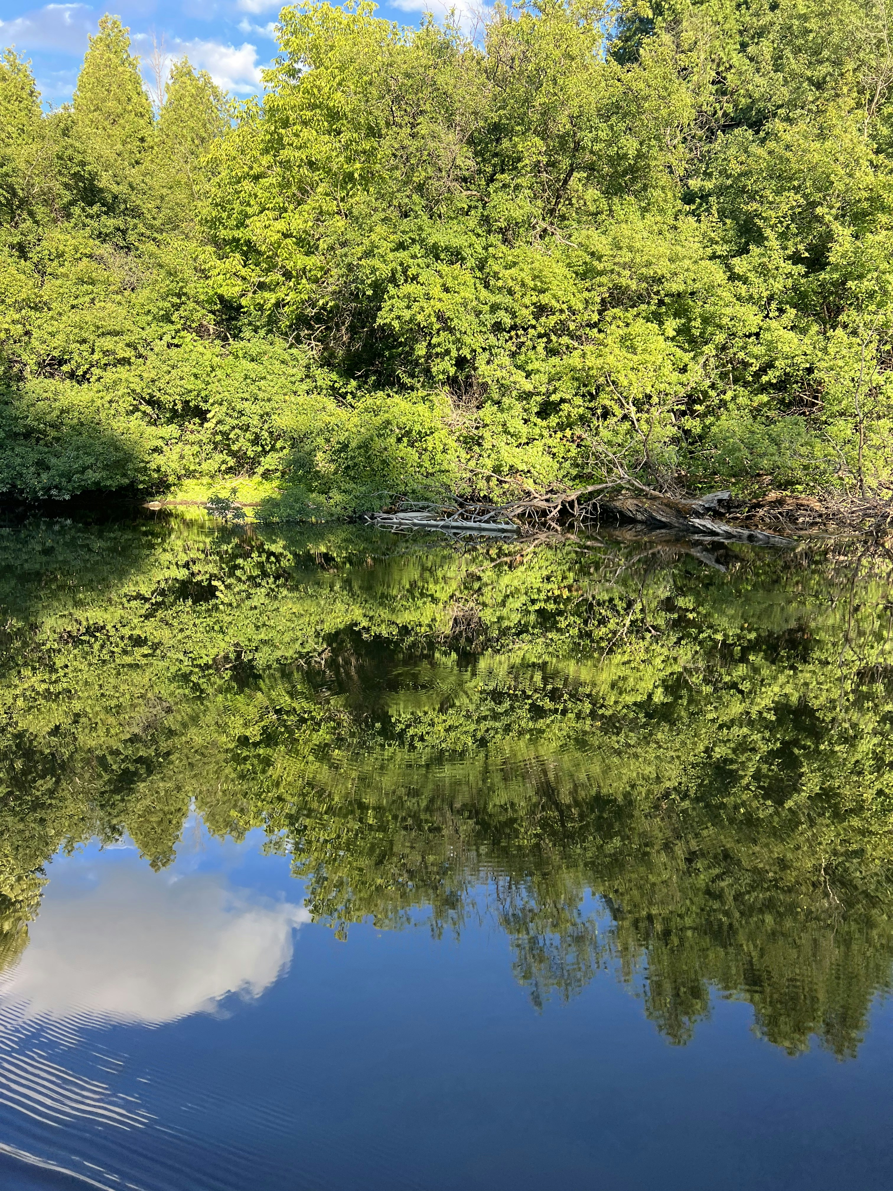 Photo by ngrebonkina