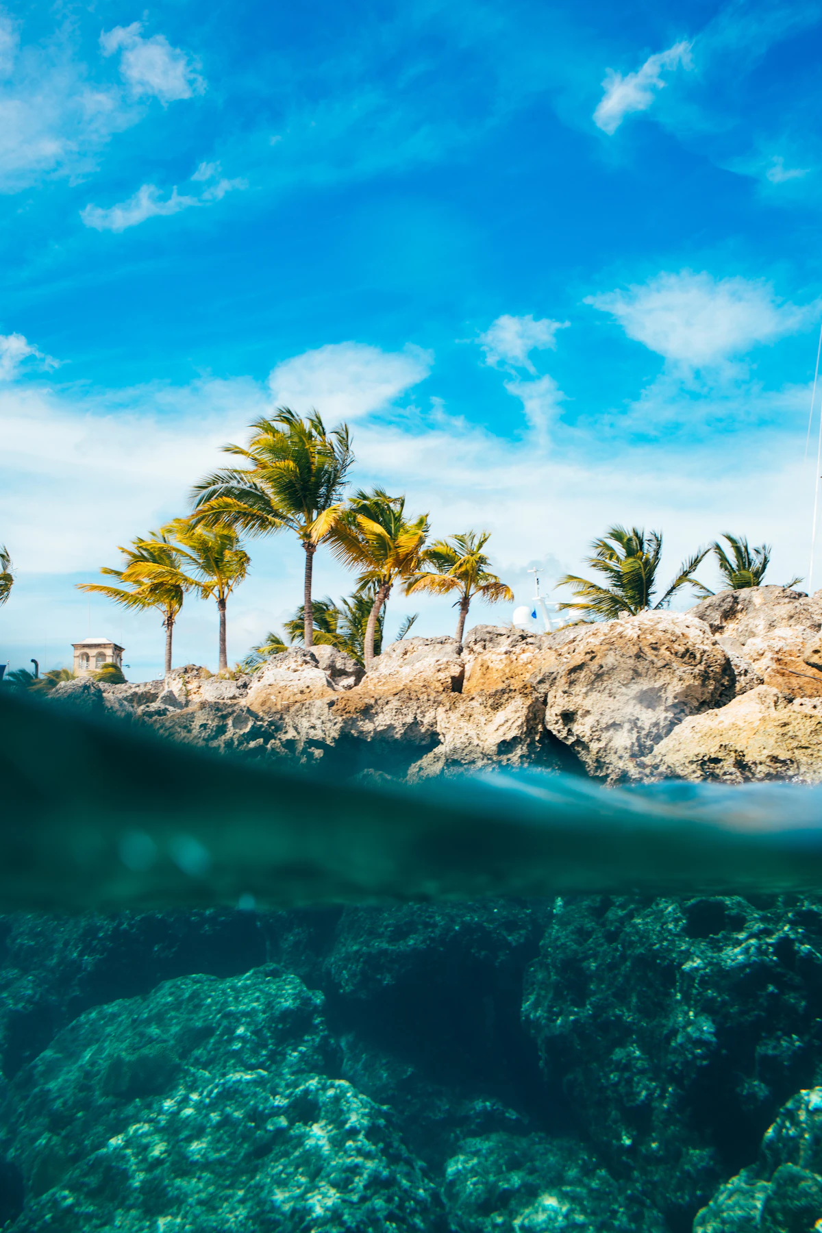 A lush tropical Caribbean island seen from the water
