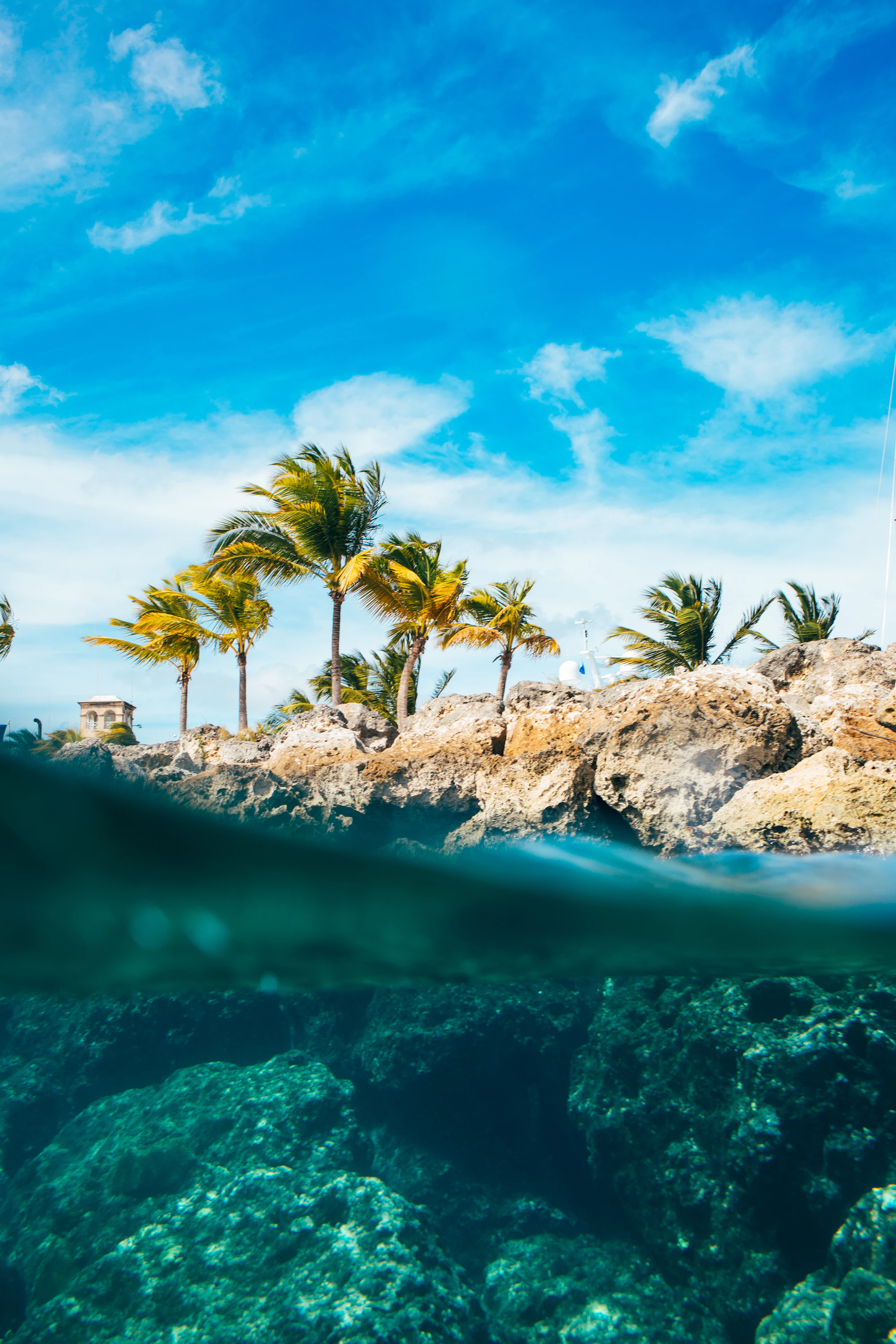 Palm trees on a rocky island shore seen from turquoise water