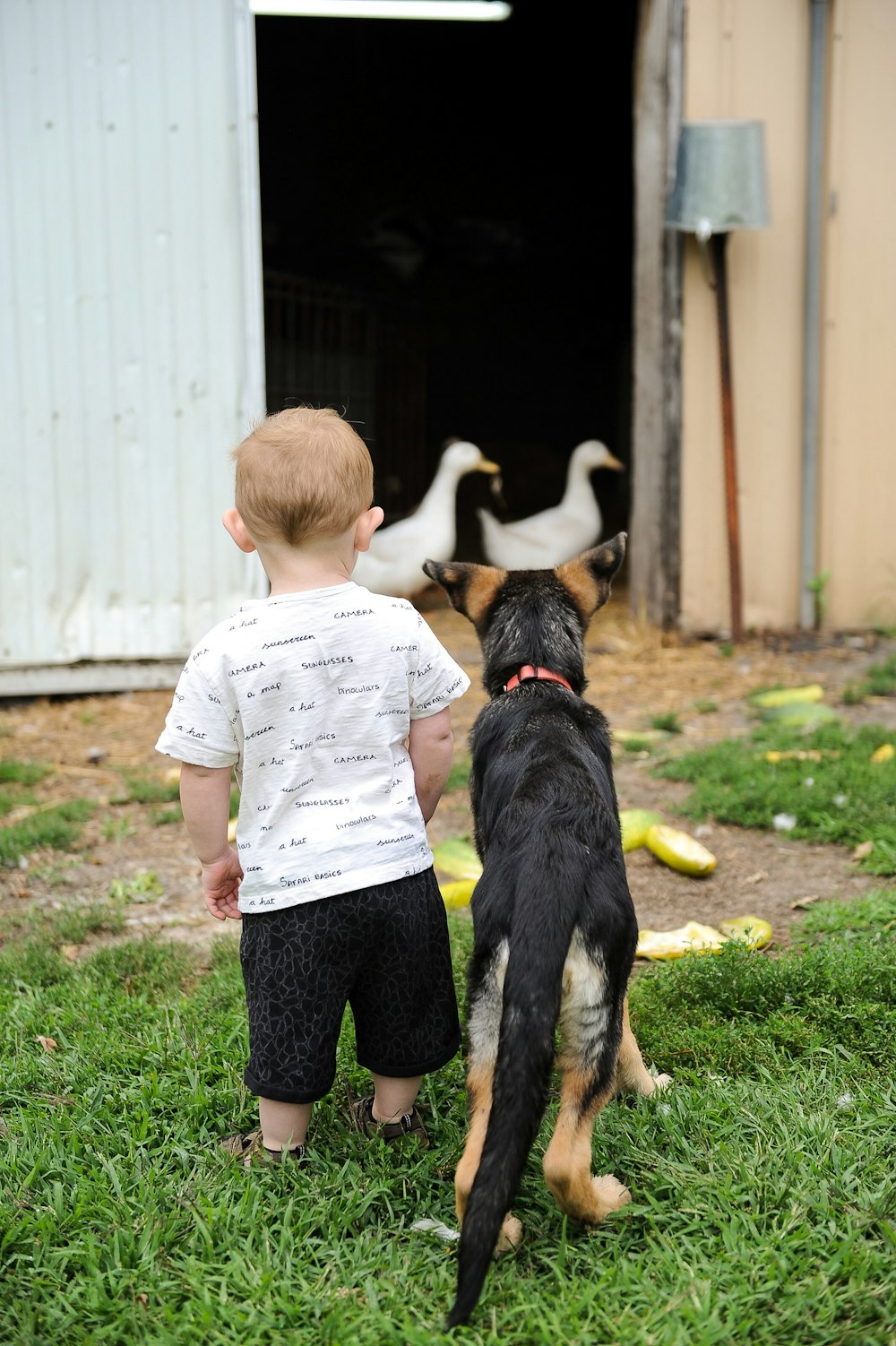 a little boy standing next to a black and brown dog