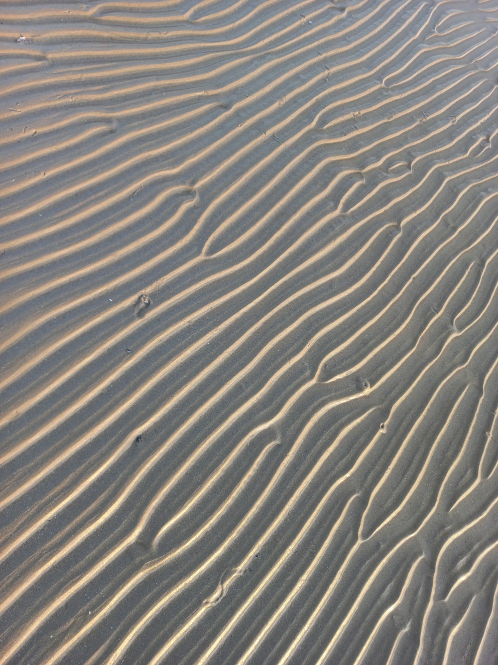 Una playa de arena con líneas en la arena