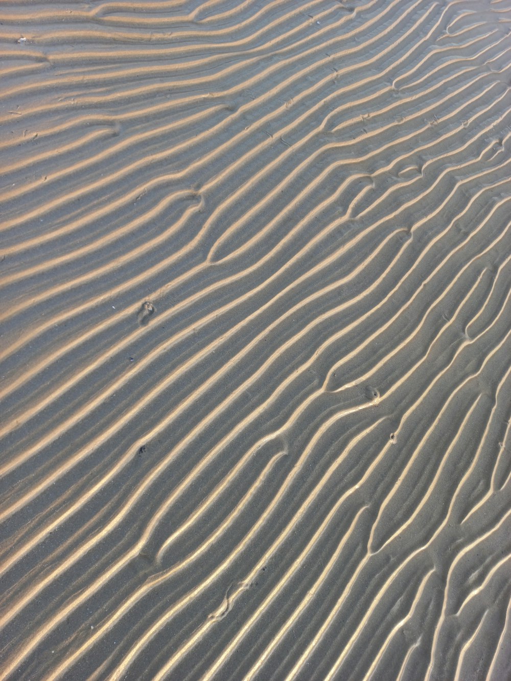 a sandy beach with lines in the sand