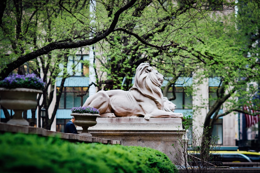 a statue of a lion in a city park