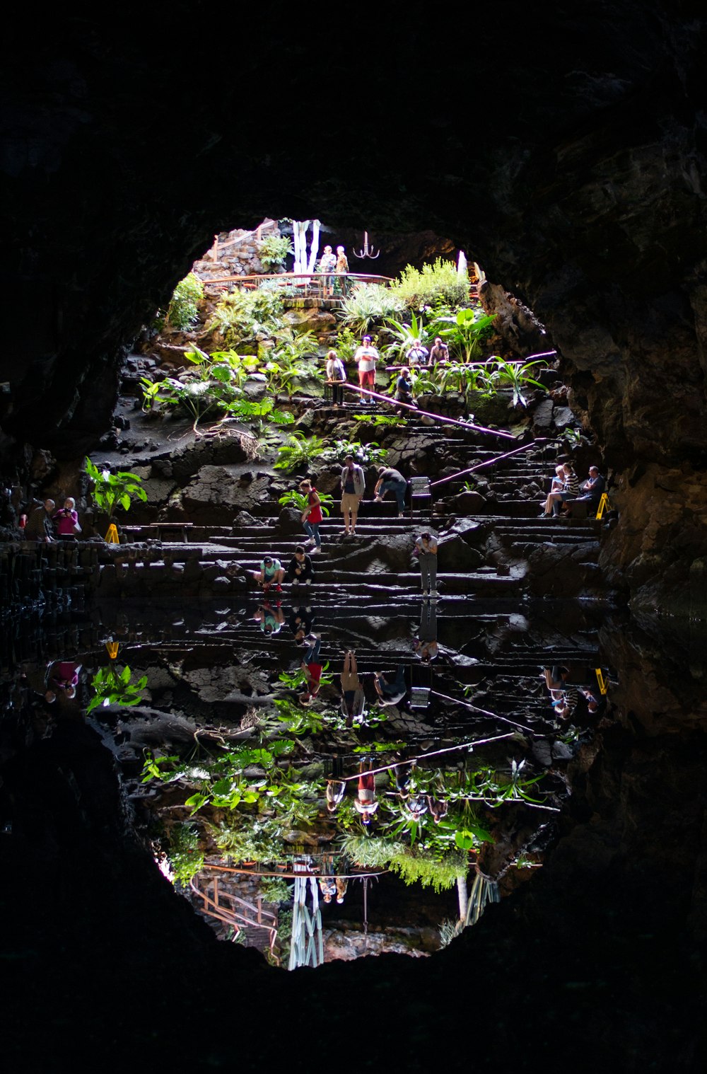 a cave filled with lots of plants next to a body of water