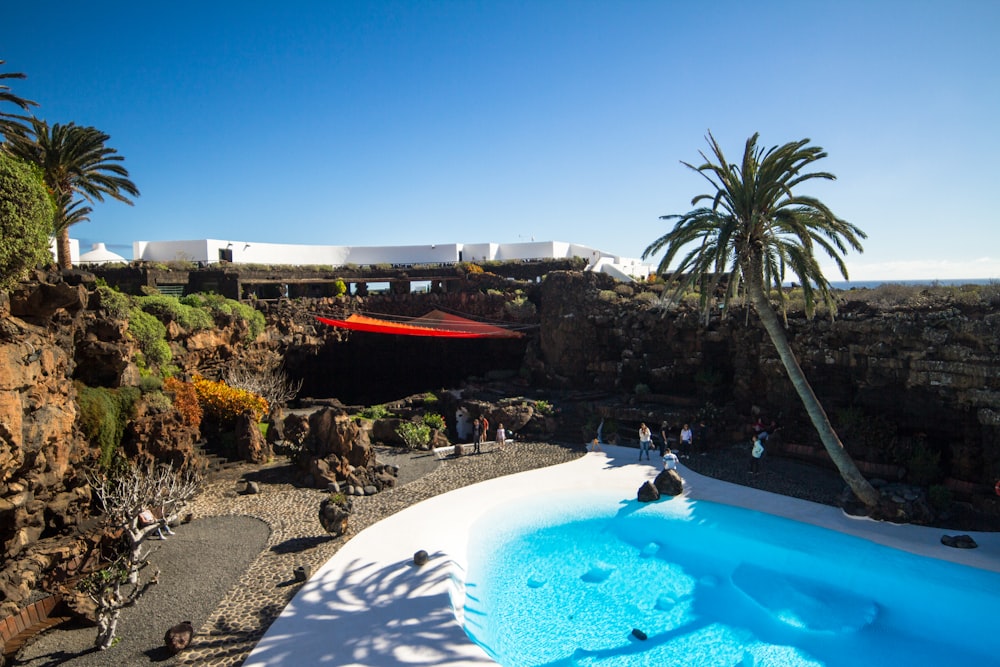 a large swimming pool surrounded by palm trees