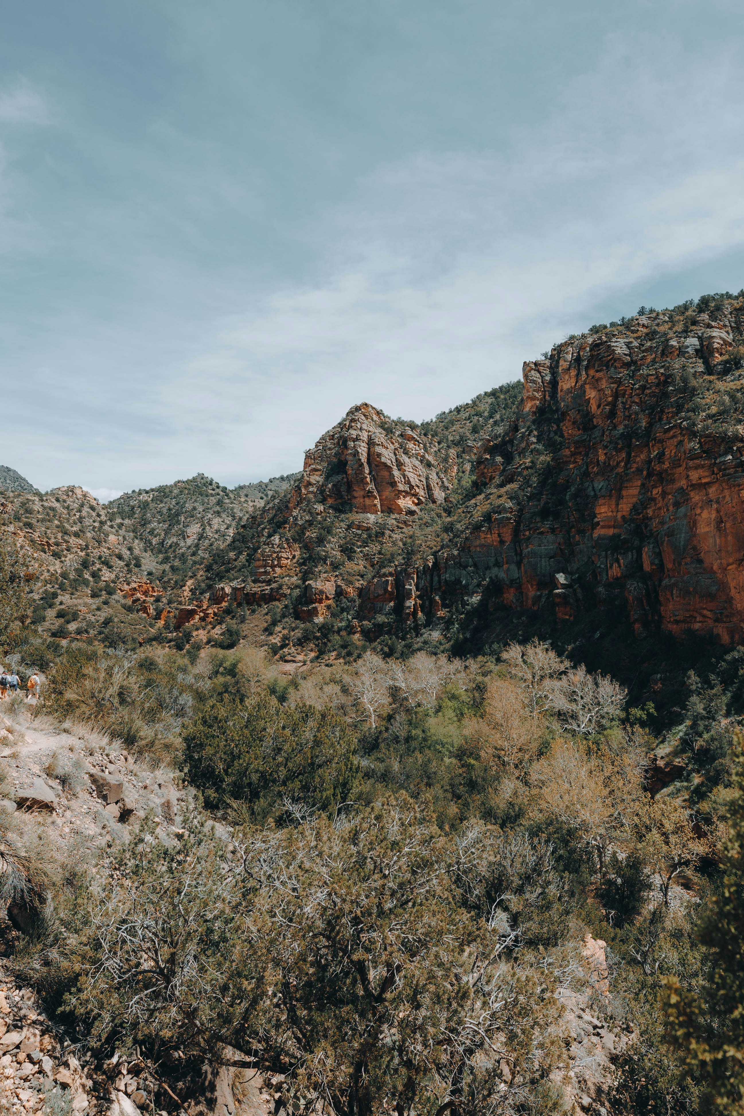 Photo by jeffersonsees