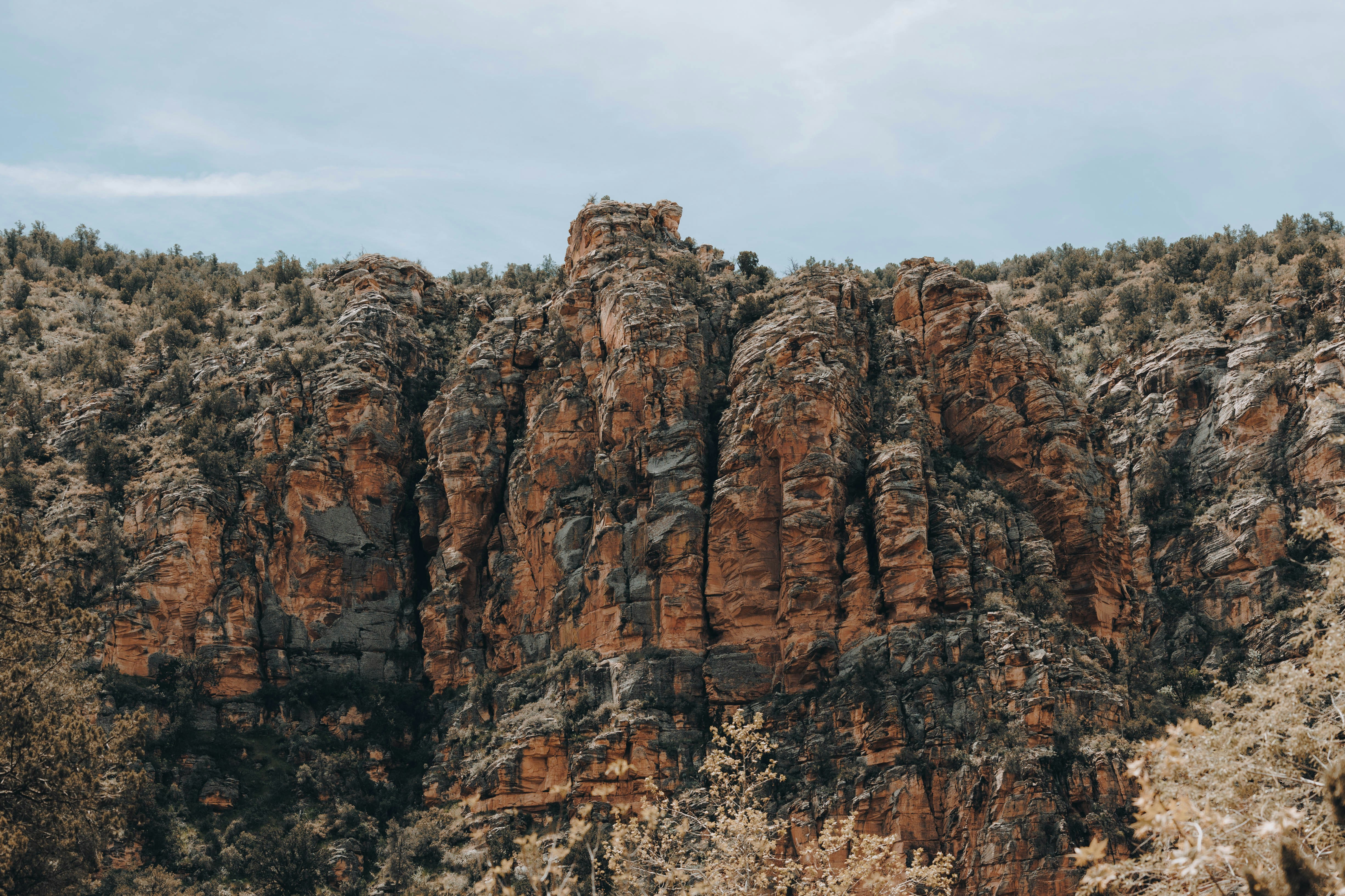 Photo by jeffersonsees