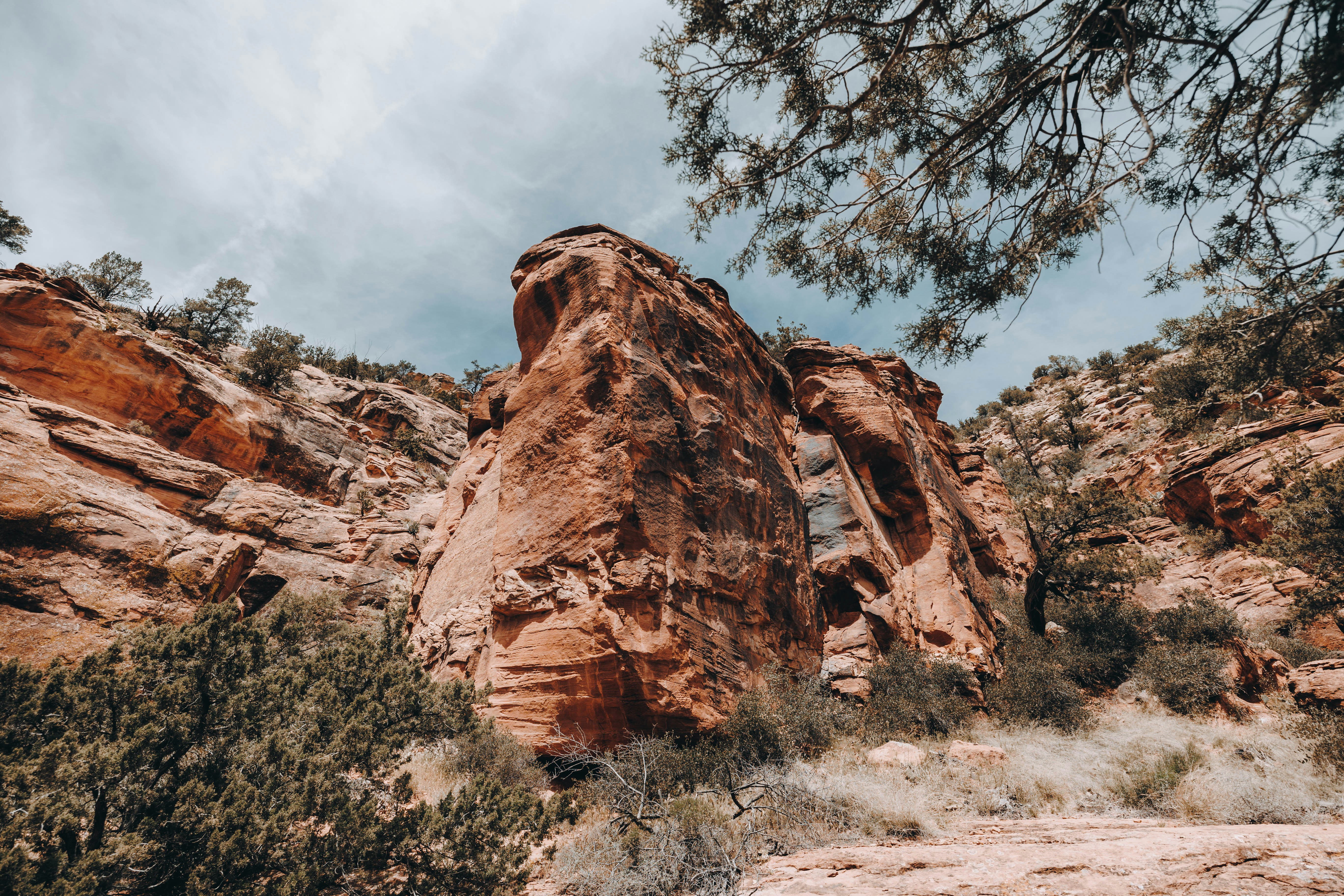 Photo by jeffersonsees