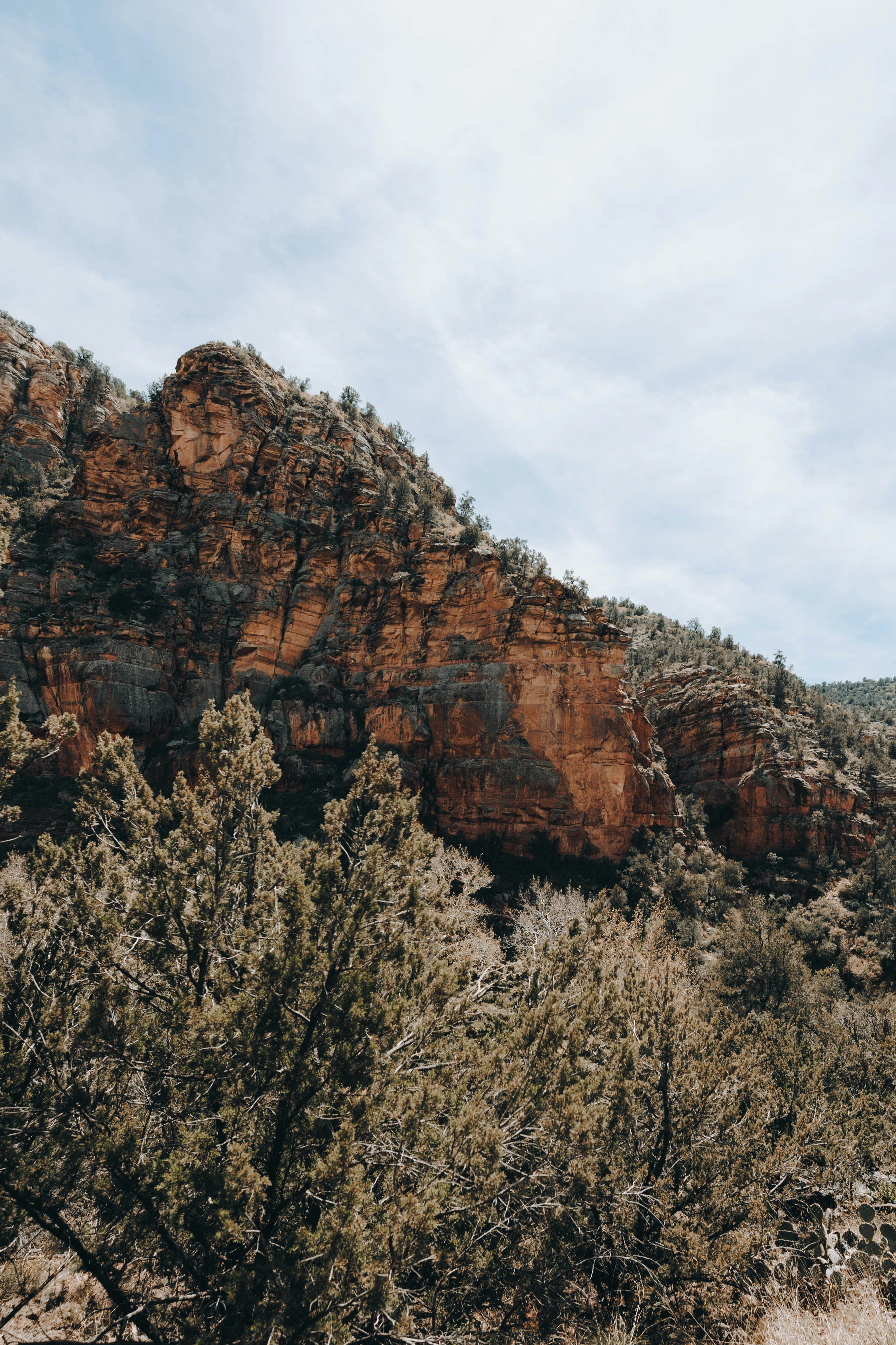 Photo by jeffersonsees