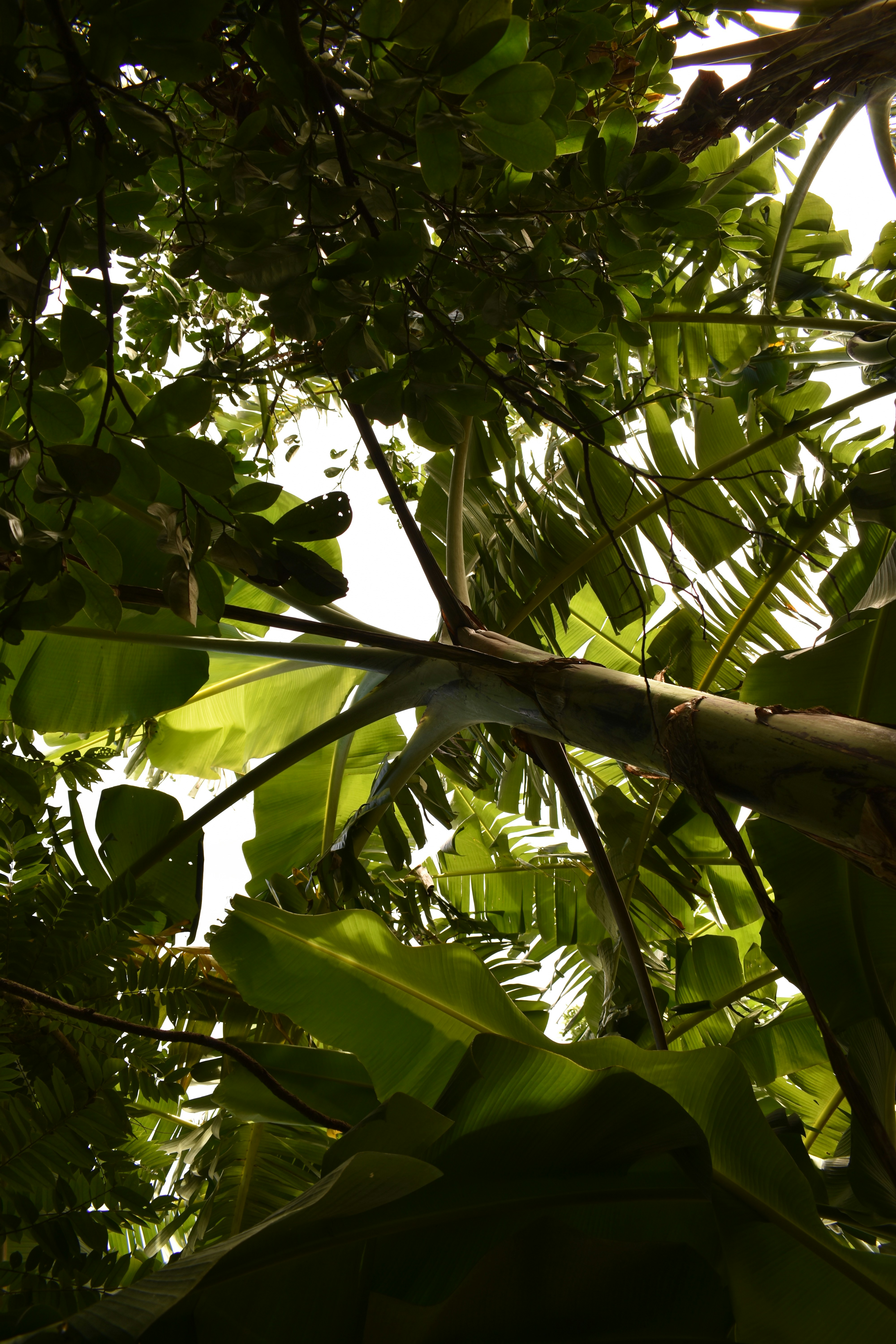 Photo by johannescls