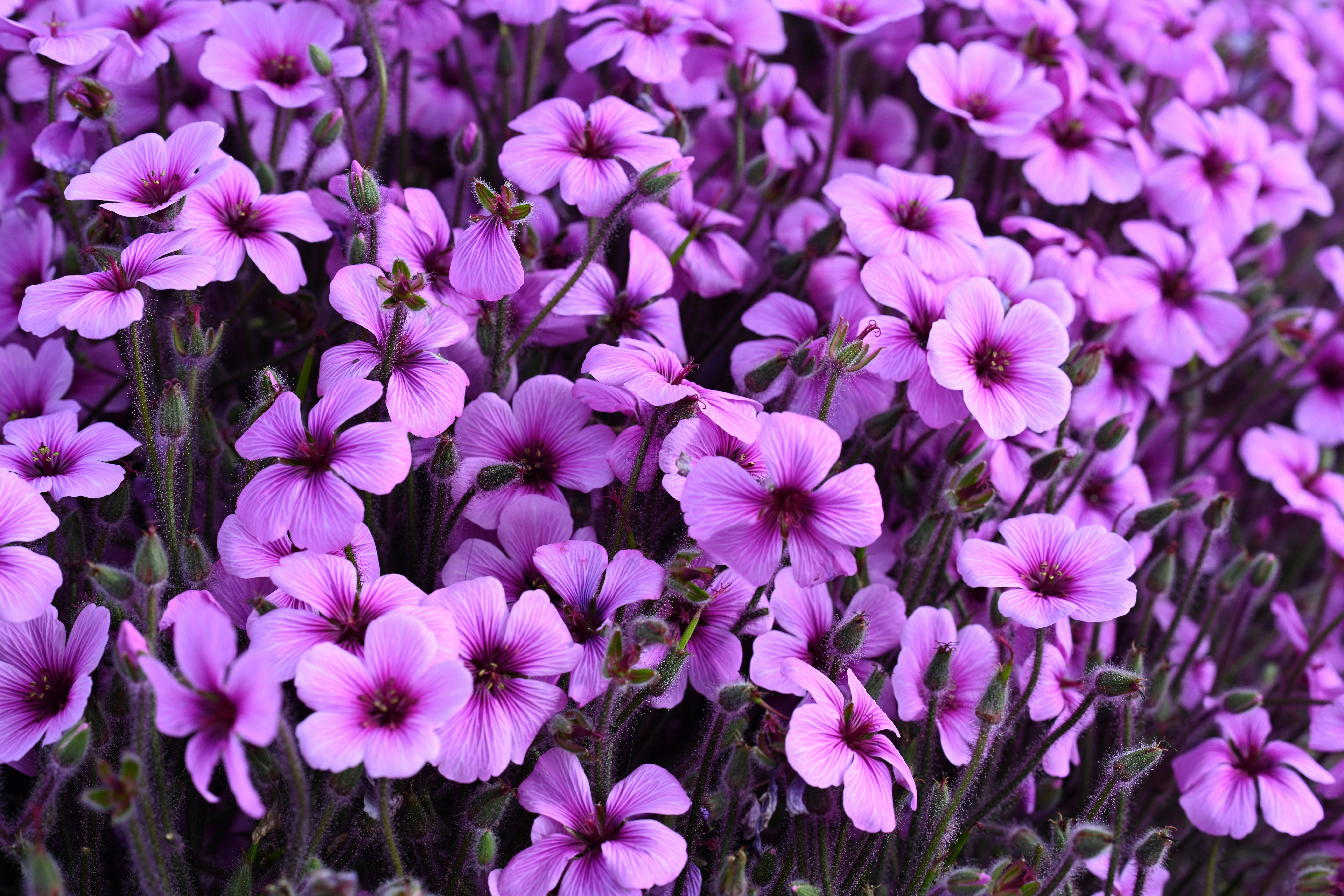 Photo by theunknownaldiaz