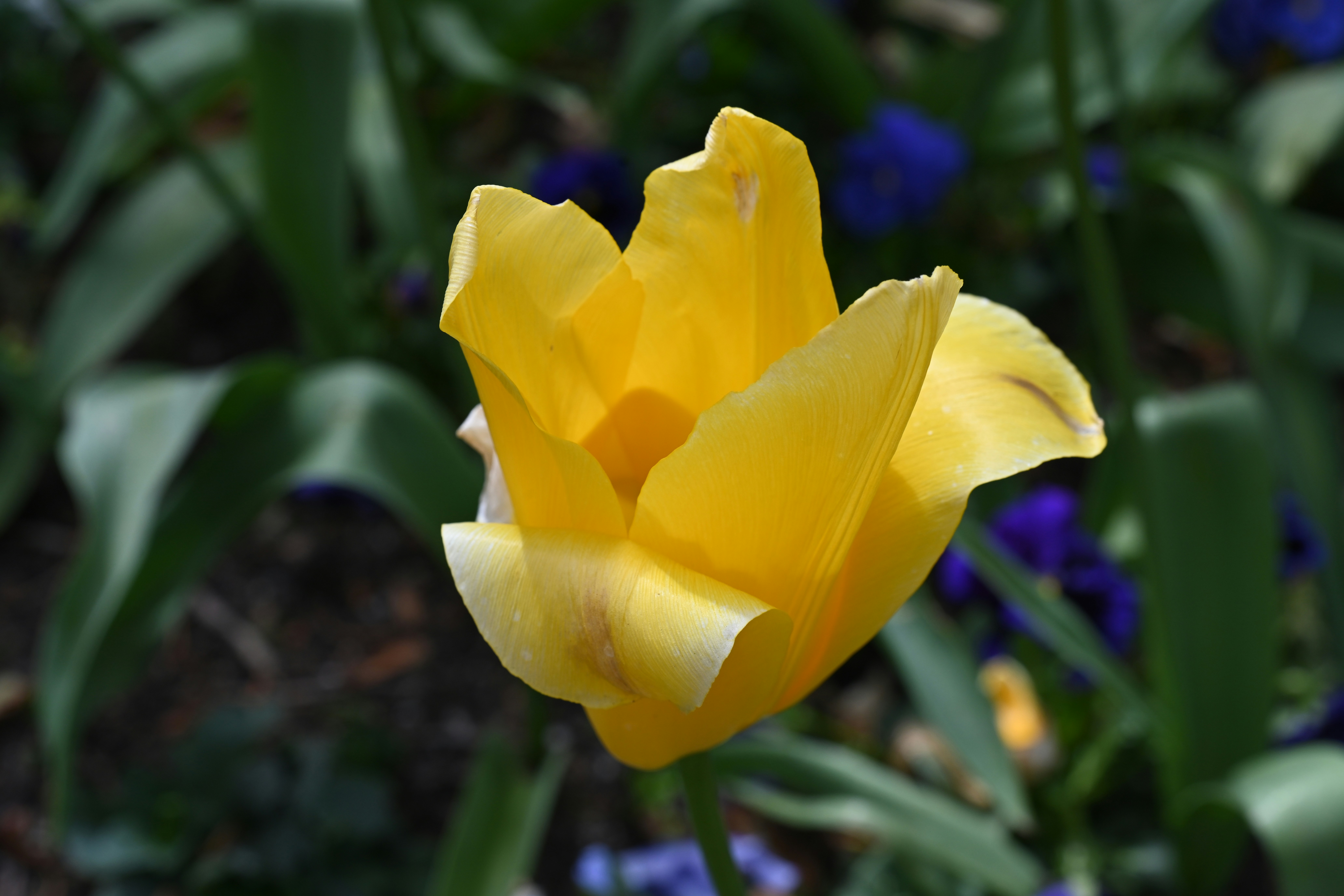 Photo by theunknownaldiaz