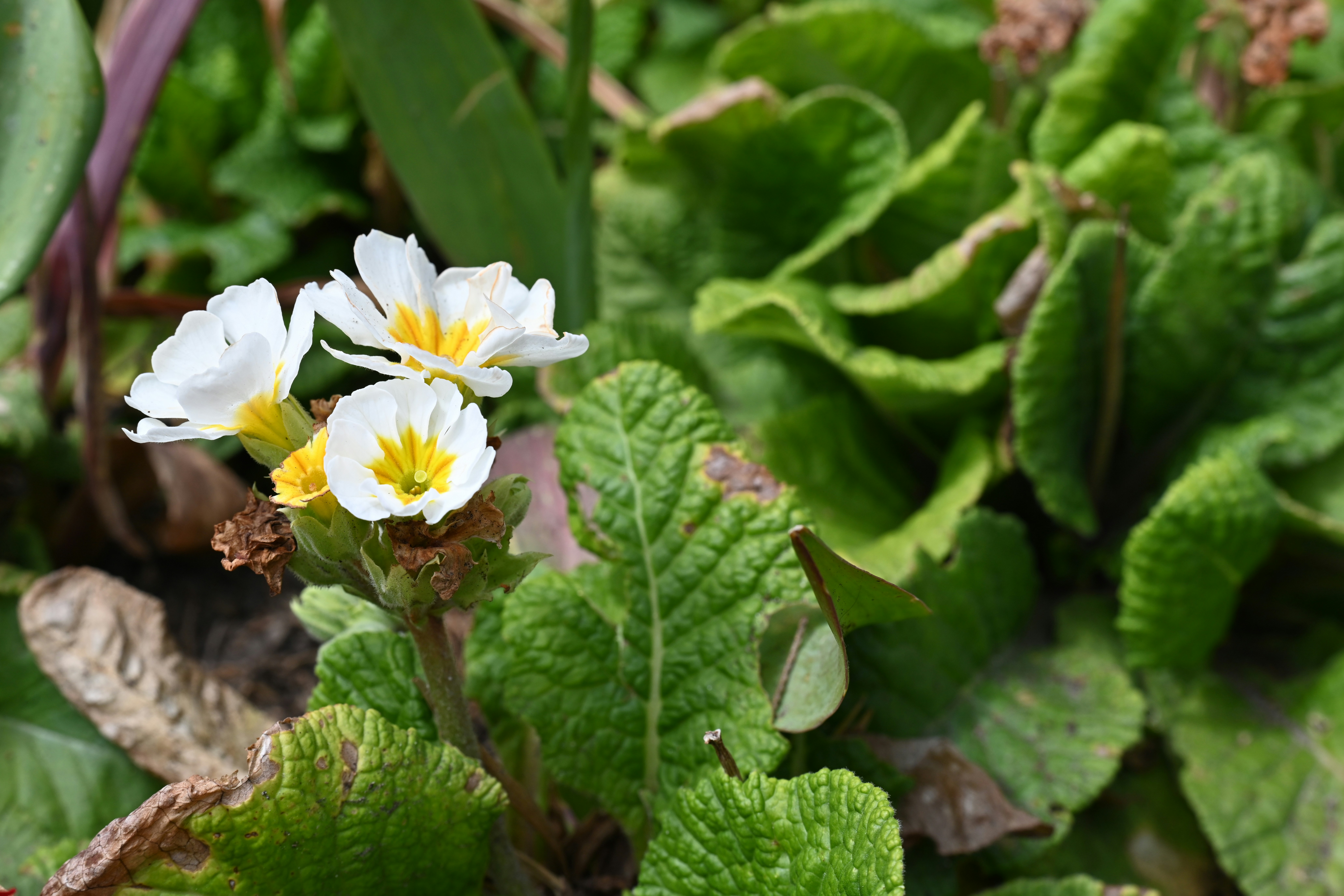 Photo by theunknownaldiaz