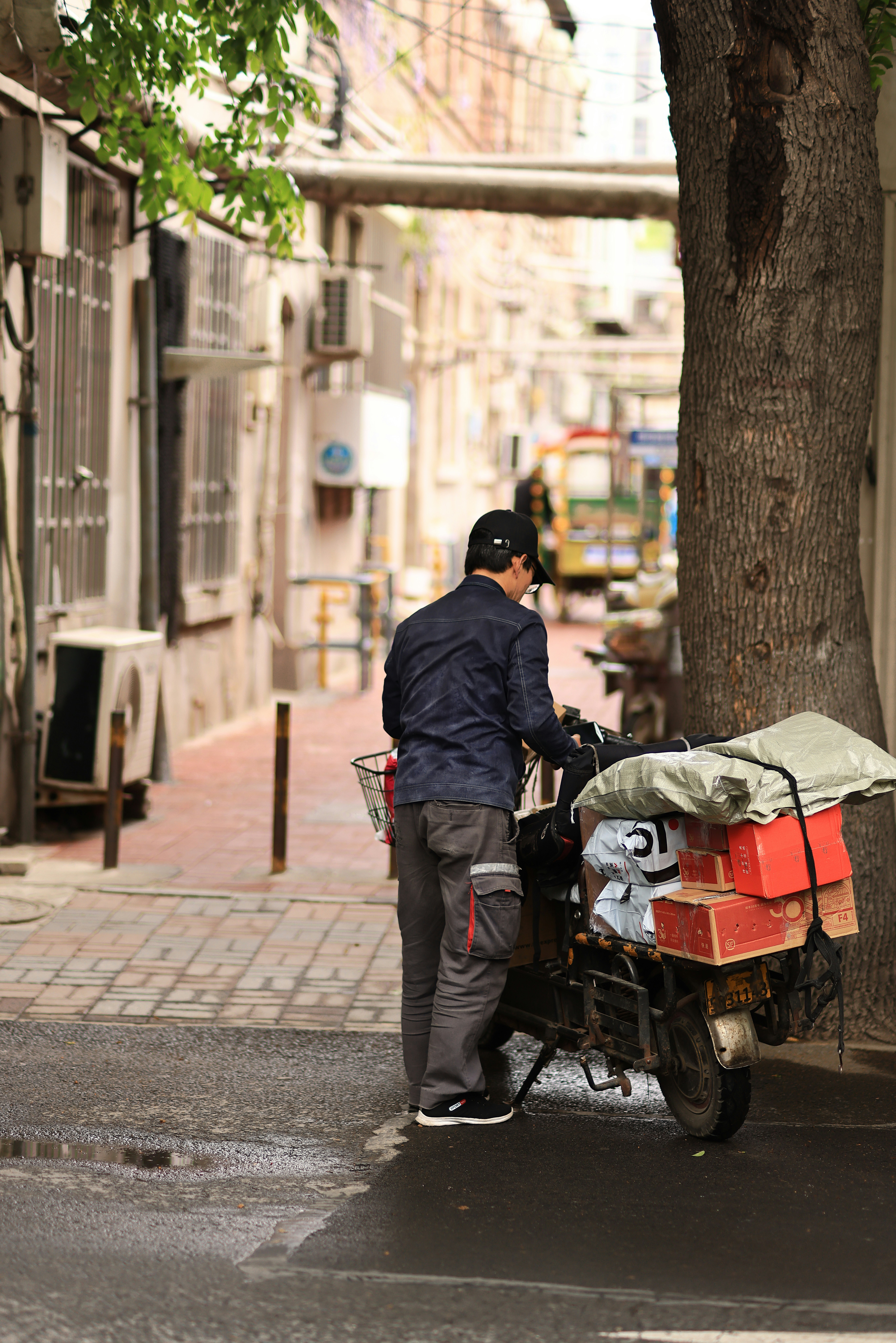 Photo by gardenia_py