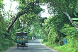 A rural road flanked by lush green trees creating a canopy overhead. A vehicle with an open back and signage in a foreign script is traveling down the road. In the distance, a person on a motorcycle is visible, moving in the same direction.