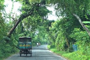 A rural road flanked by lush green trees creating a canopy overhead. A vehicle with an open back and signage in a foreign script is traveling down the road. In the distance, a person on a motorcycle is visible, moving in the same direction.
