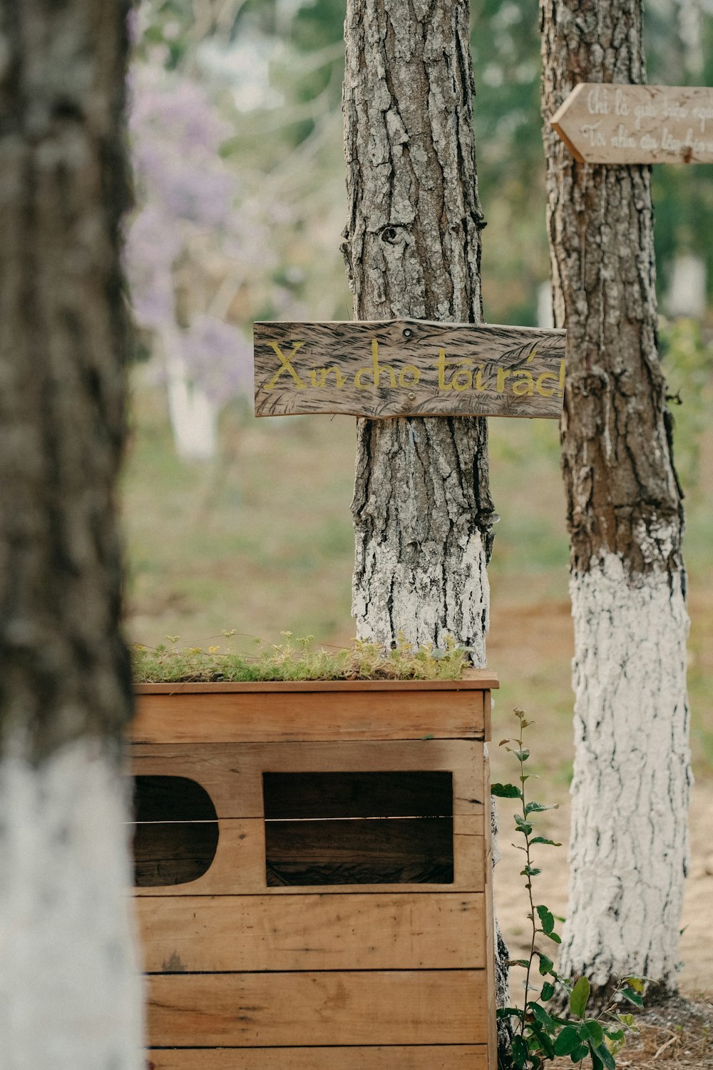 a wooden box sitting in the middle of a forest