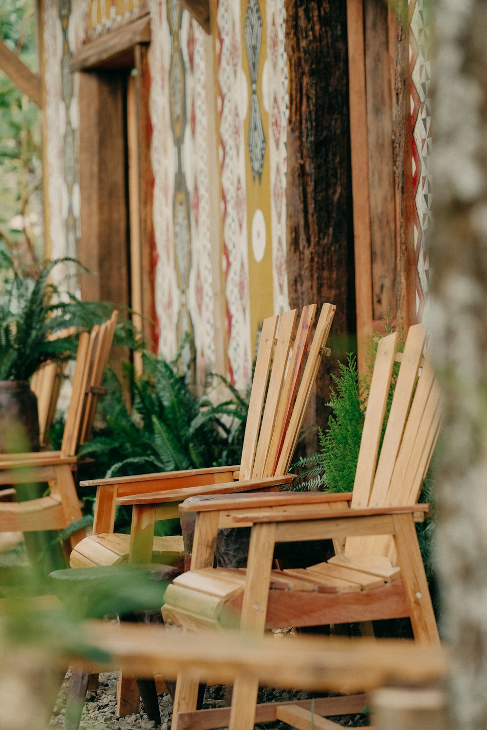 a row of wooden chairs sitting next to a tree