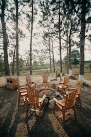 a fire pit surrounded by wooden chairs and trees