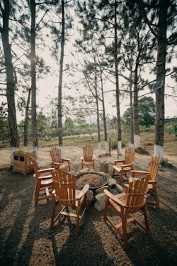 a fire pit surrounded by wooden chairs and trees