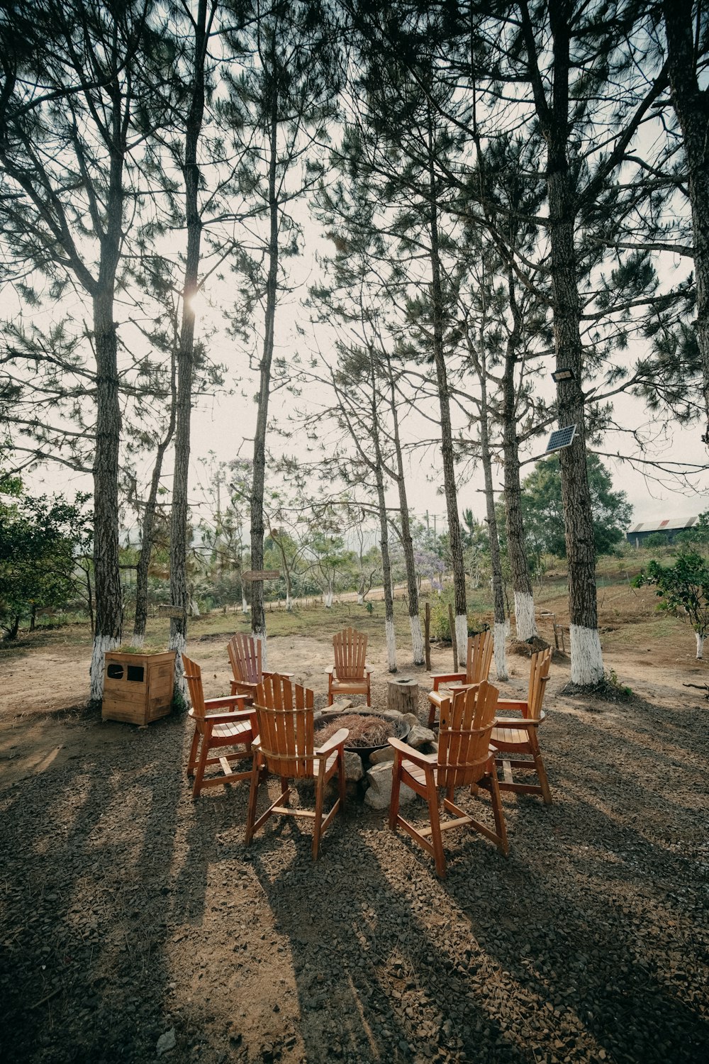 a group of wooden chairs sitting around a fire pit