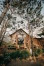 A rustic wooden cabin is surrounded by tall pine trees and lush greenery. The cabin features large windows, a sloped roof, and is set in a natural setting with a stone-bordered garden.