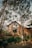 A rustic wooden cabin is surrounded by tall pine trees and lush greenery. The cabin features large windows, a sloped roof, and is set in a natural setting with a stone-bordered garden.