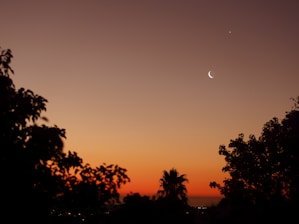 A serene sunset scene with a crescent moon and a bright star visible in the twilight sky. Silhouettes of trees frame the foreground, and a palm tree is centrally positioned against the warm hues of the evening sky.