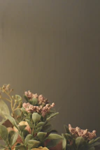 Close-up of an elegant, contemporary floral arrangement with deep green and beige tones against a minimalist white background.