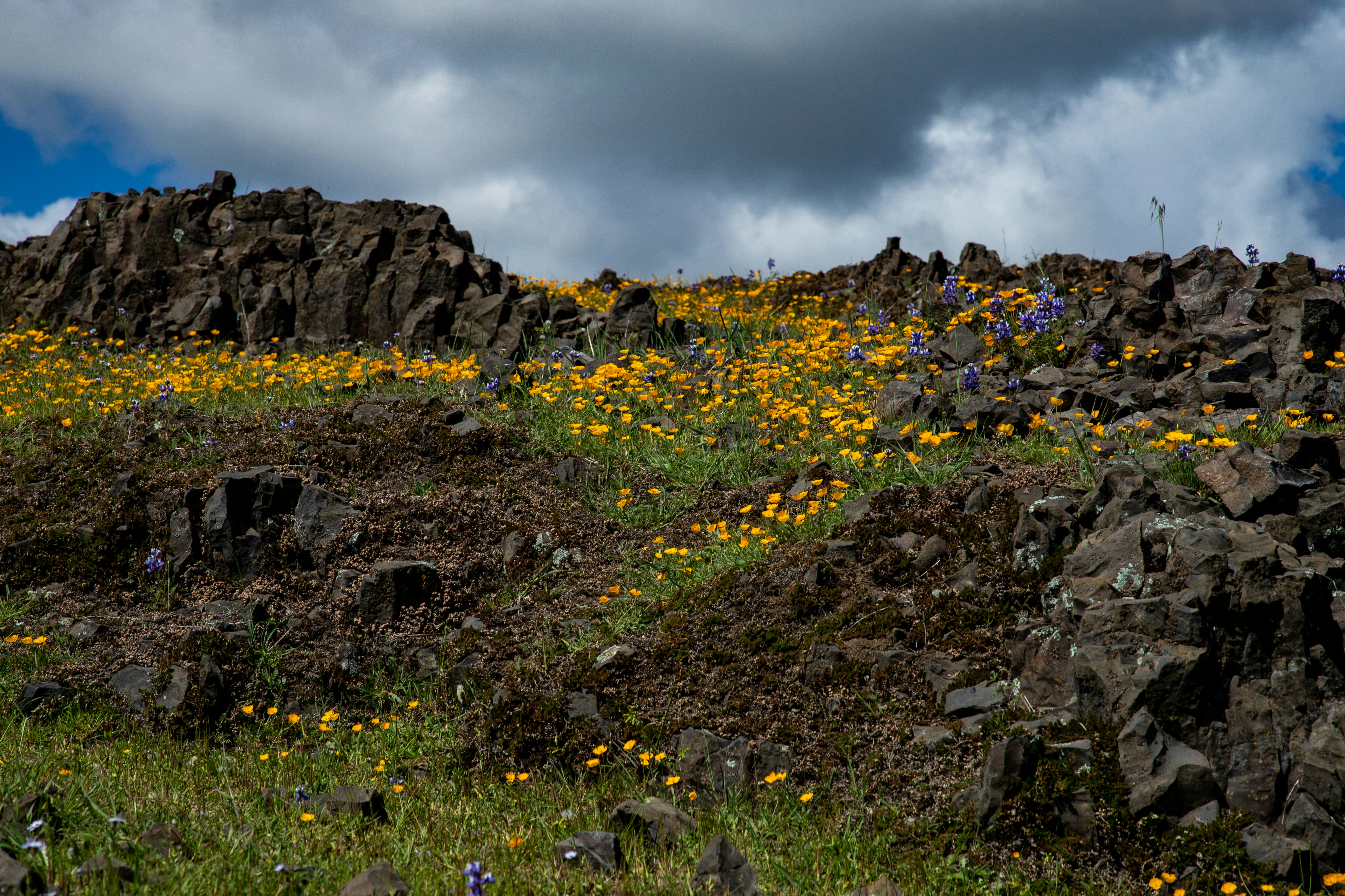 Iceland's Spectacular Pre-Eruption Displays (image credits: unsplash)