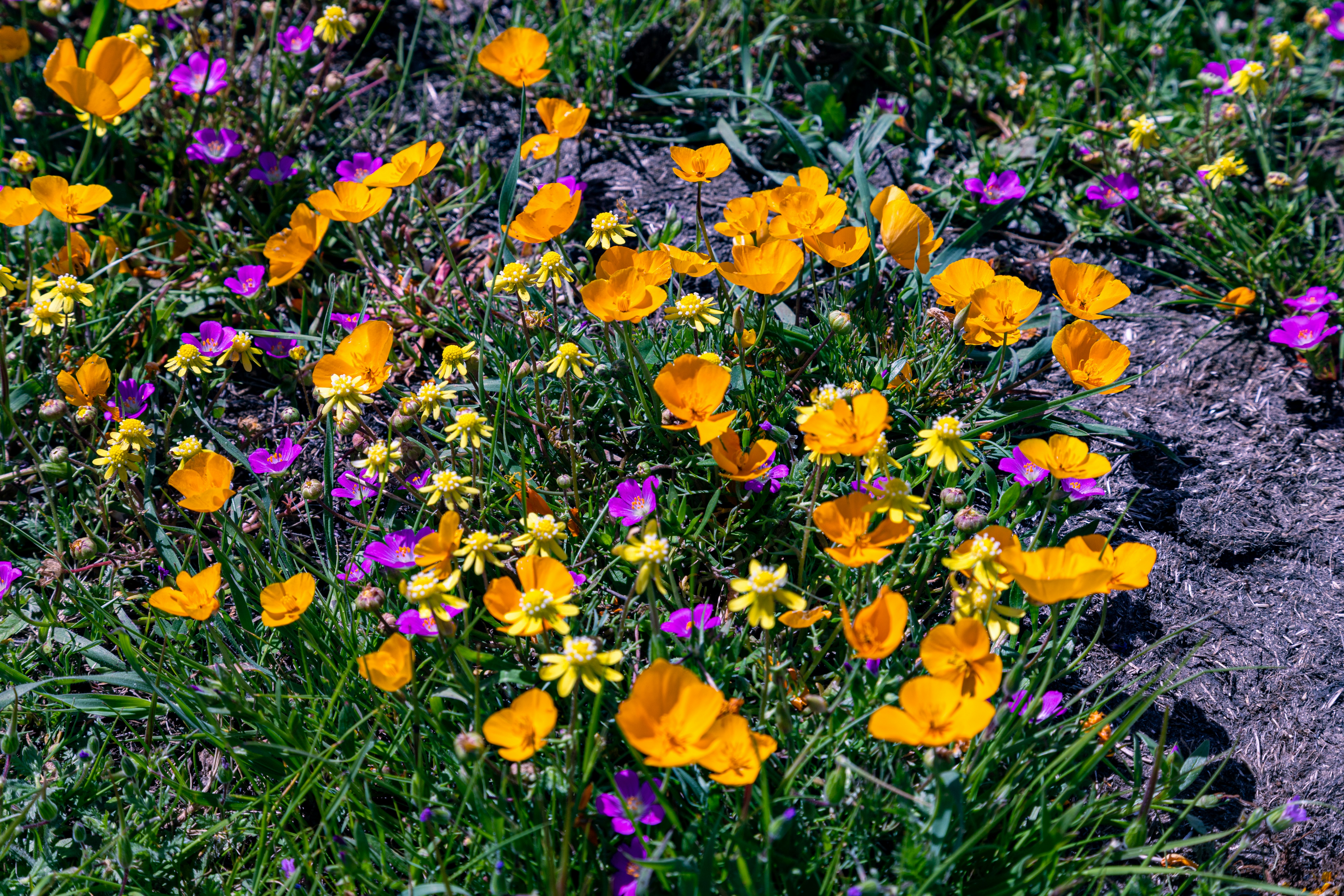 Photo by creepyhands